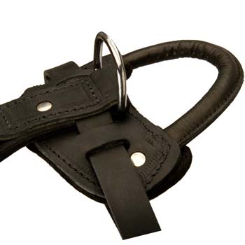 Strongest dog harness for large and strong dogs