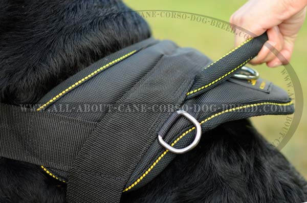 Non-Restrictive Nylon Dog Harness Light