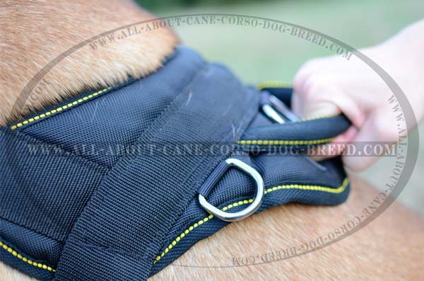Reliable Easy Adjustable Nylon Dog Harness