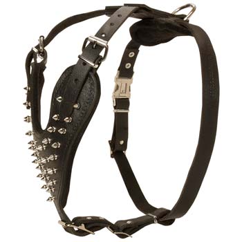Mastiff leather dog harness with spikes