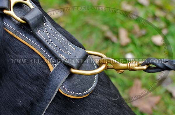 Cane Corso leather dog harness with With Extra Strong Ring for Dog Leash Attachment