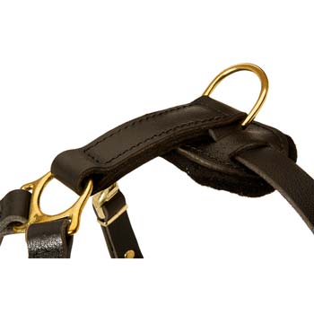 Leather Harness with D-Ring for Leash Attachment