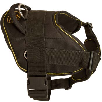 Tracking/pulling nylon Mastino Napoletano harness is great in operation