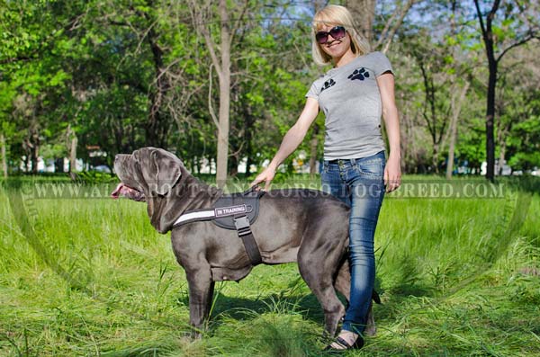 Multitasking Nylon Mastino Napoletano Harness is 2 Way  Adjustable