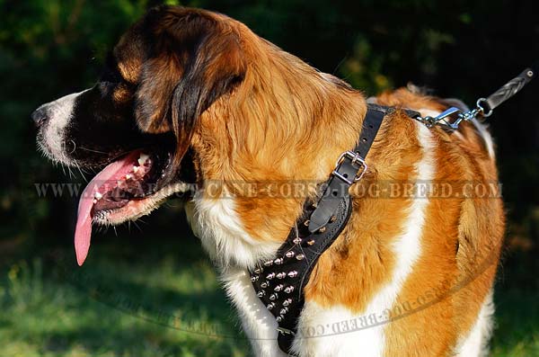 Spiked Leather Dog Harness for Moscow Watchdogs