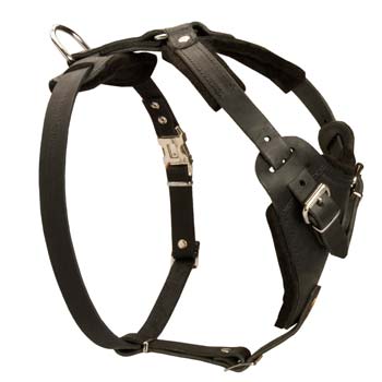 Serviceable leather dog harness for hard work