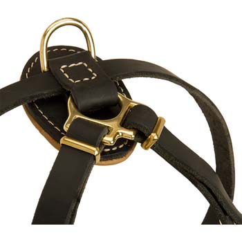 Strong Back Pad with RIng for Leash Connection