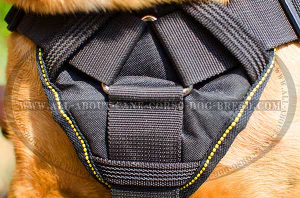 High Quality Nylon Chest Plate