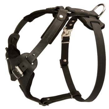 Padded neck straps harness for Cane Corso