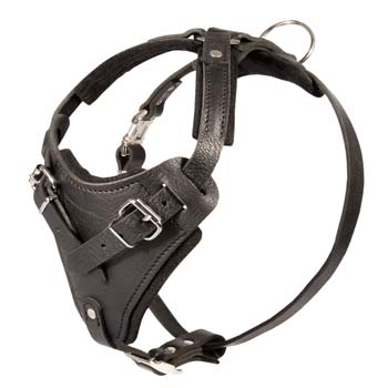 Long-life leather dog harness