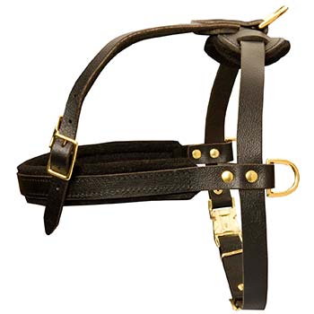 Pulling leather harness for Cane Corso