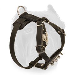 Adjustable leather puppy harness for Cane Corso