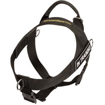 Ultra lightweight adjustable nylon dog harness