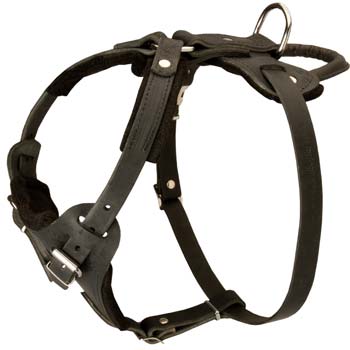 Extremely comfortable leather dog harness