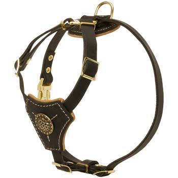 Royal Leather Harness for Cane Corso Puppy