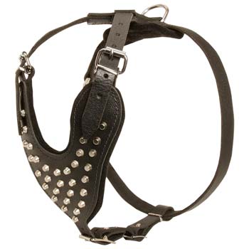 Leather Dog Harness for Comfortable Walking