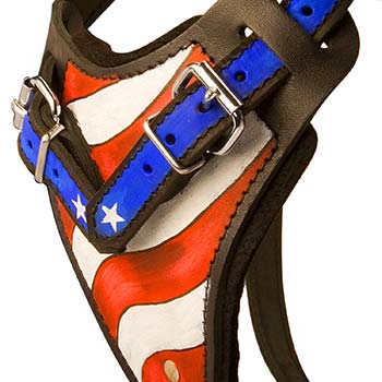 Painted in the USA Flag Colors Chest Plate