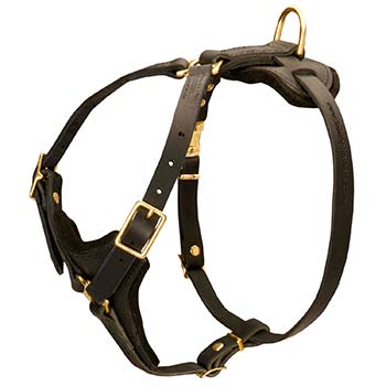 Leather Dog Harness with Y-shape Chest Plate