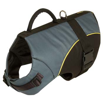 Easy-to-use Big Dog winter harness with handle
