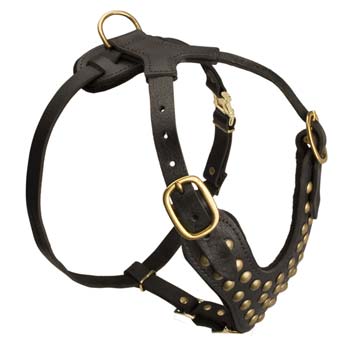 Superiorleather dog harness for strong large dogs