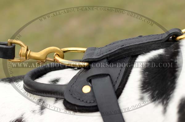 Demandable Leather Dog Harness for Great Danes