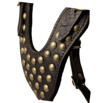 Classy studded leather dog harness for big dogs