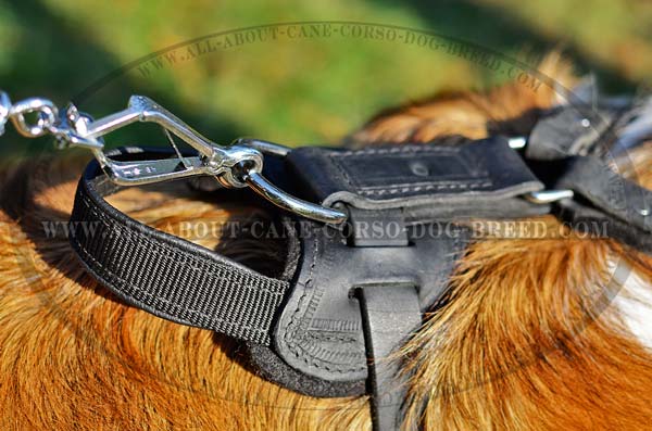 Durable dee Ring for Due Leash Fastening