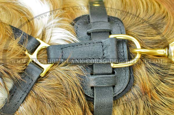 Dependable Leather Dog Harness with dee Ring