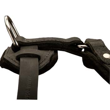 High quality leather dog harness with dee Ring on the top
