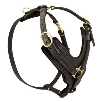 Special leather dog harness