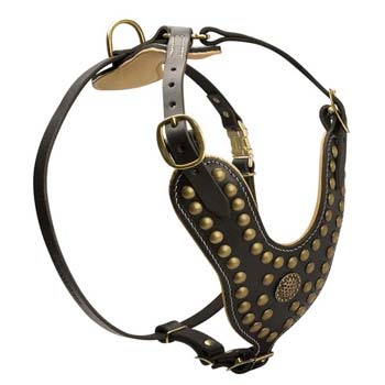 Awesome leather dog harness for Great Dane