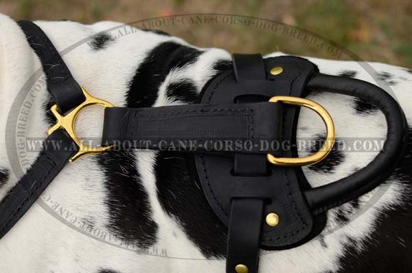 Multifunctional Leather Dog Harness with Handle