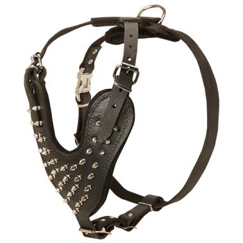 Cane Corso leather dog harness with spikes