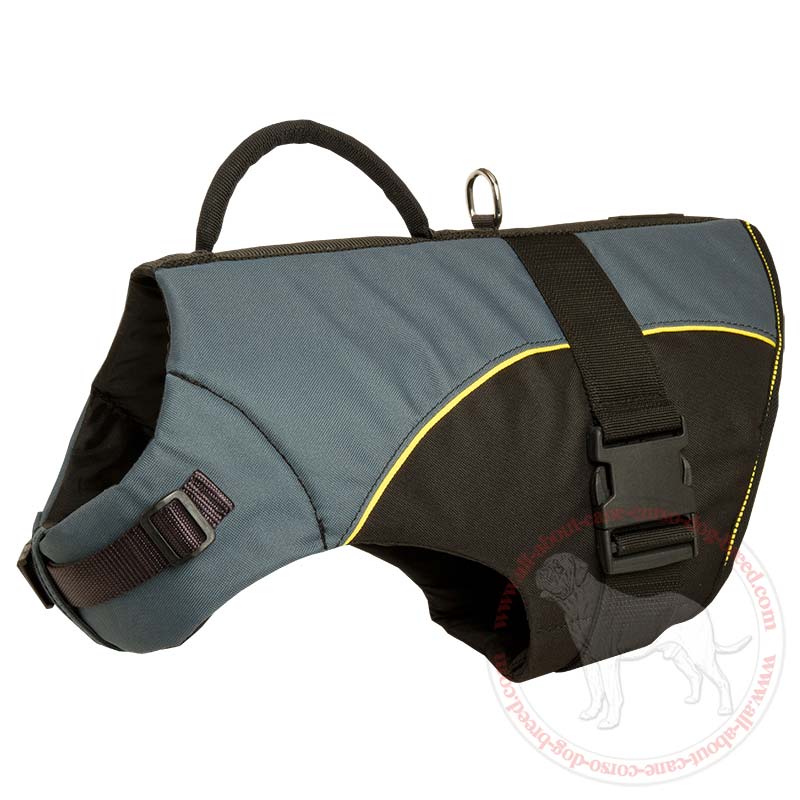 Big sales dog vest