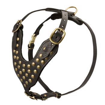 Gorgeous leather dog harness with fine studs