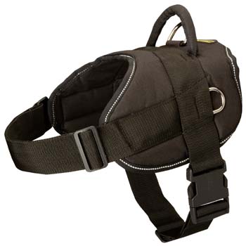 Unique well-built easy-to-use nylon harness