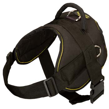 Lightweight remarkable nylon dog harness