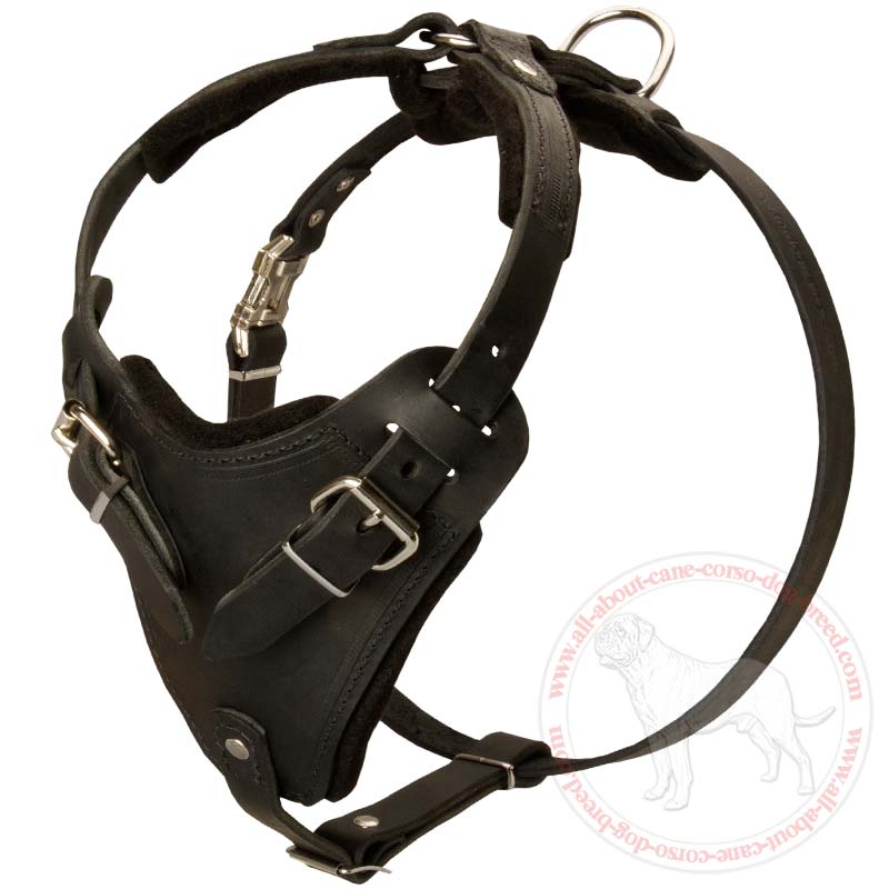 Protection/Attack/Agitation Leather Dog Harness for ...