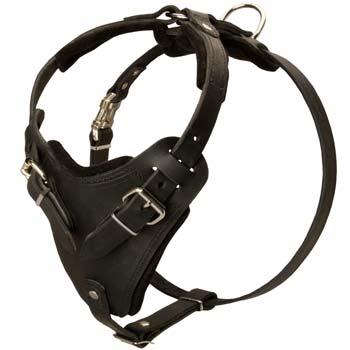 Exclusive leather dog harness for super strong dogs