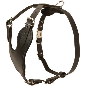 Tracking/walking Cane Corso leather harness