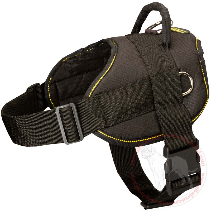 best dog harness