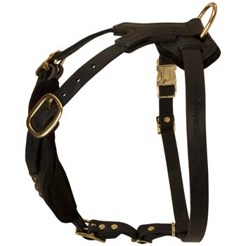 Walking adjustable leather cane corso harness
