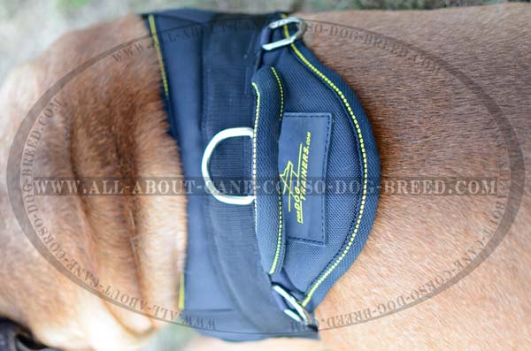 Weatherproof Nylon Dog Harness