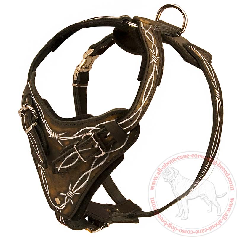 Unique Barbwire Painted Leather Dog Harness for Cane Corso Breed