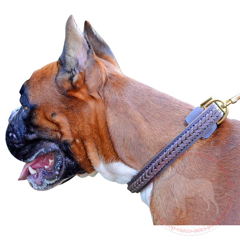 Braided Leather Designer Dog Collar for Strong Boxers