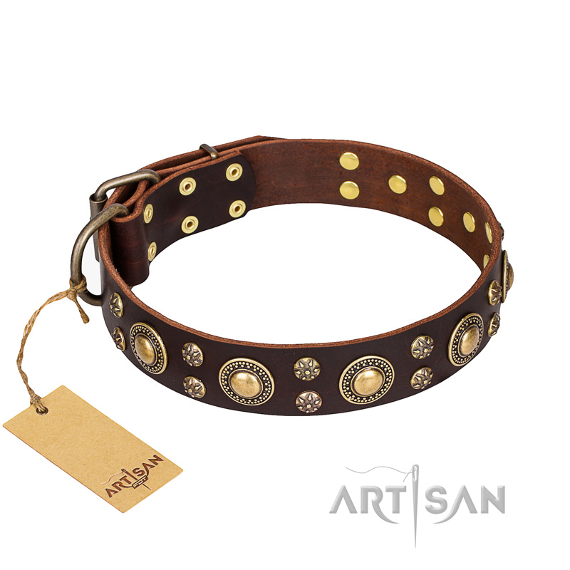 'Flower Melody' FDT Artisan Brown Leather Cane Corso Collar with Mixed Studs