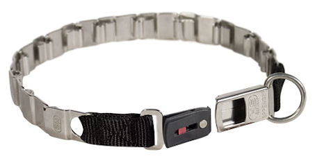 steel dog collar