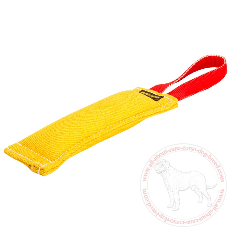 Cane Corso Bite Tug Made of French Linen