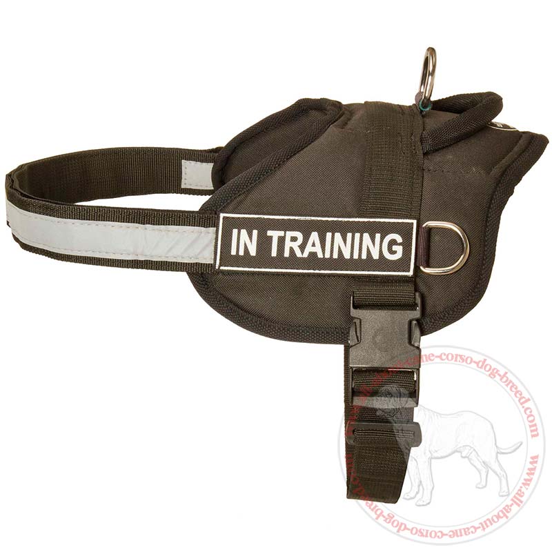 Reflective Removable Patches for Dog Harness 1 Pair Reflective