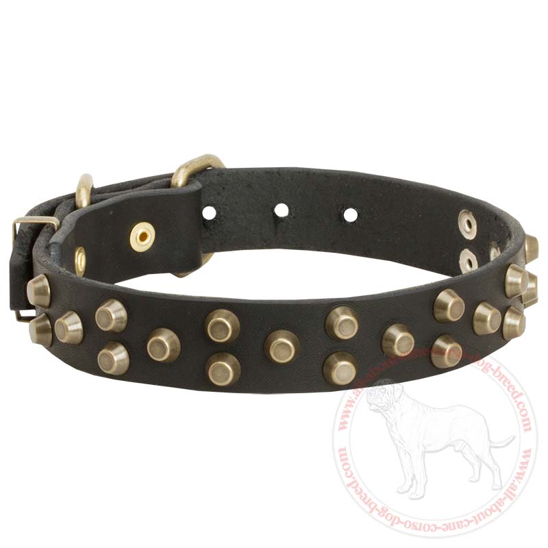 Leather Cane Corso Collar with Brass Pyramids